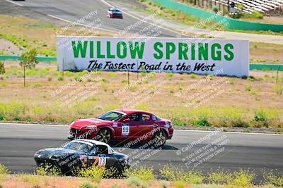 media/May-05-2024-Lucky Dog Racing (Sun) [[8a365fce5b]]/1030am-Turn 3/